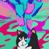 chats