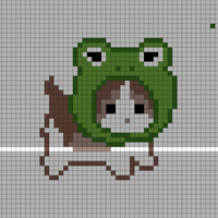 cat with frog hat