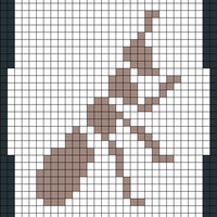 Ant
