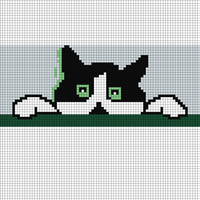 Copy of Copy of cat face & paws.jpg