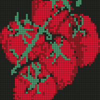 IMG_0197.png