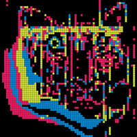 tiger mm.jpeg