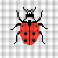nine spot lady beetle