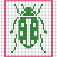 Ladybug