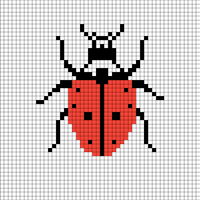 Copy of Copy of nine spot lady beetle