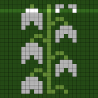 Copy of Snowdrop