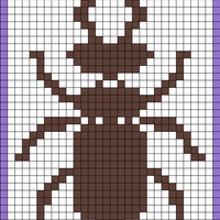 Beetle