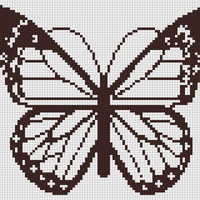 Butterfly bw