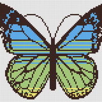 Butterfly c2