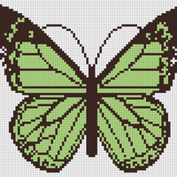 Copy of Copy of Butterfly c
