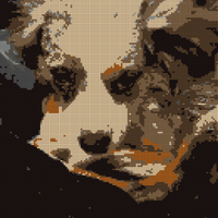 483192119_646745208312147_1126449727189522451_n.jpg