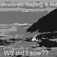 IMG_5450.jpeg