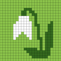 Copy of Snowdrop