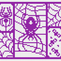 spiders