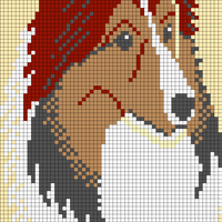 collie