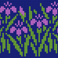 iris