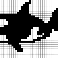 orca