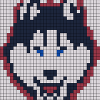 Uconn.jpg