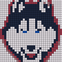 Copy of Uconn.jpg