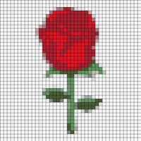 rosas