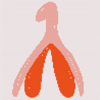 clitoris.jpg