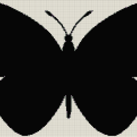 butterfly2.jpg