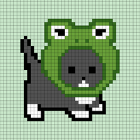 cat with frog hat