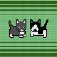 Copy of Copy of Clover and Cosmo