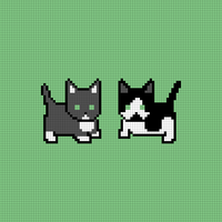 Cats with name
