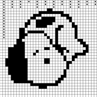 Copy of snock