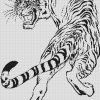 IMG_6039.jpeg