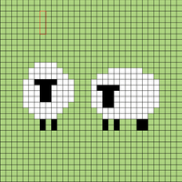 sheep