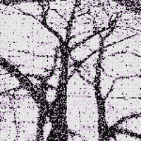 tree shadow bitmap.png