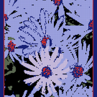 Aster-oblongifolium-Aromatic-Aster-25.webp