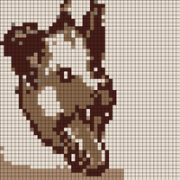 possum.jpeg