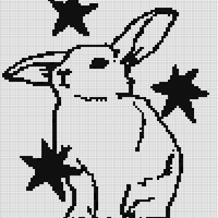 Copy of Copy of rabbit star