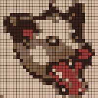 opossum.jpg