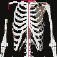 Copy of Capture.PNG