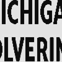 Michigan Wolverines.png