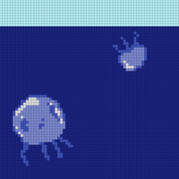 blanket jellyfish