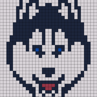 Copy of Copy of Uconn.jpg