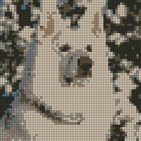 601405_10200796895991172_1711156649_n.jpg