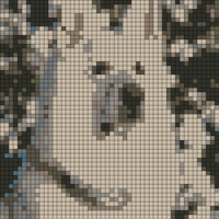 601405_10200796895991172_1711156649_n.jpg