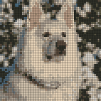 601405_10200796895991172_1711156649_n.jpg