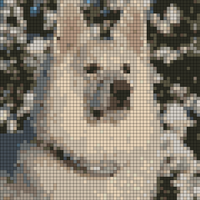 601405_10200796895991172_1711156649_n.jpg