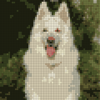 1379329_10202350460109304_947417283_n.jpg