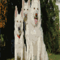1262942_10202350460989326_901874646_o.jpg