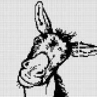 Donkey