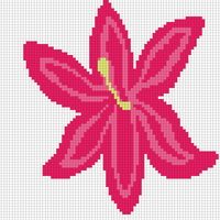 lily