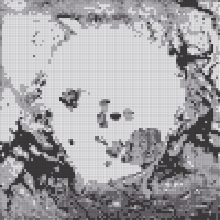 a4212377151_10.jpg